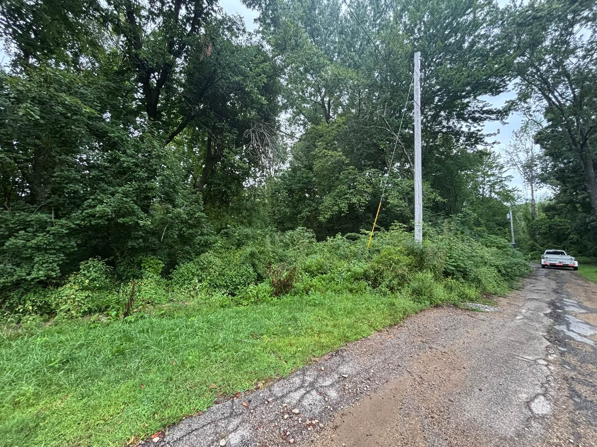 Before — brush encroaching on driveway edge, Spencer MA